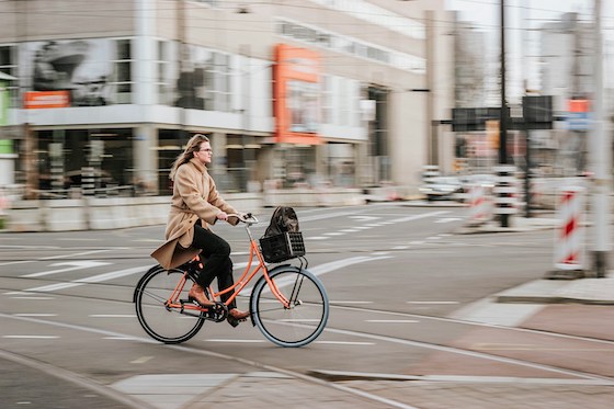 Wielrenfiets 